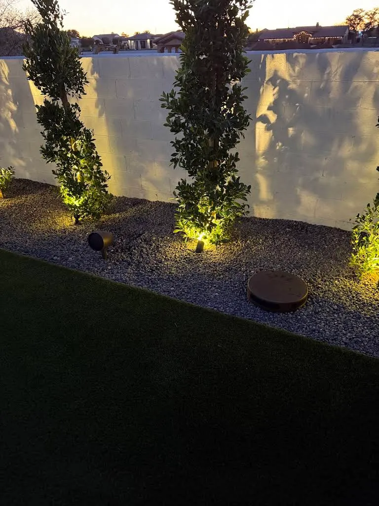 Backyard landscape lighting at dusk, with spotlights up-lighting trees against a block privacy wall over artificial turf in an Arizona neighborhood.